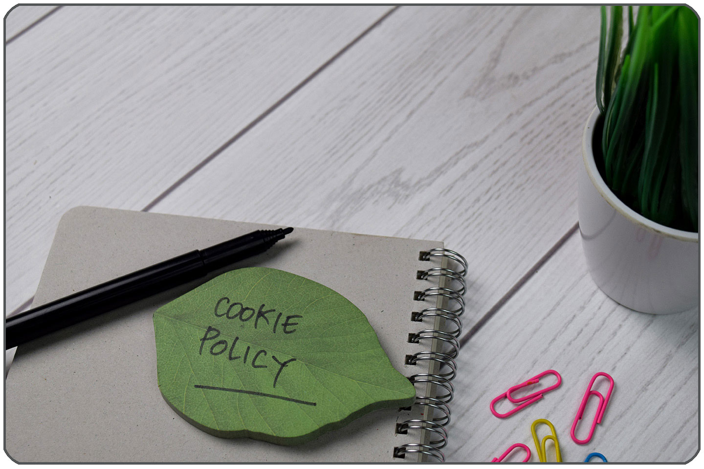Cookie Policy